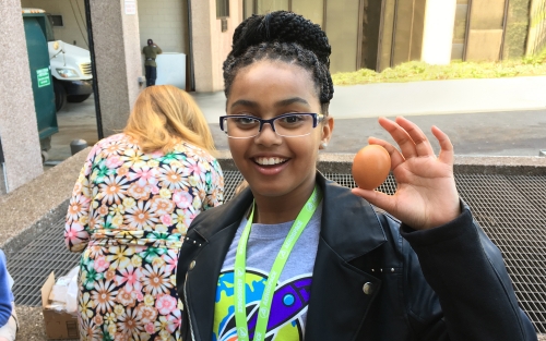 Take Our Kids to Work Egg Drop